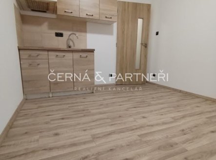 Pronájem bytu, 1+kk, 20 m², Teplice – náhled fotky 2