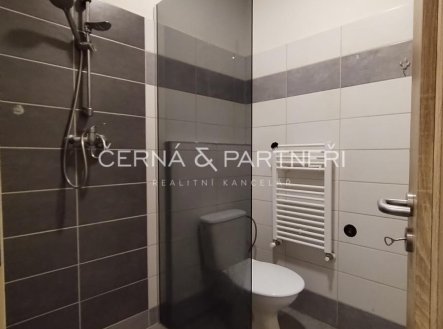 Pronájem bytu, 1+kk, 20 m², Teplice – náhled fotky 3