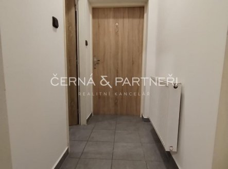 Pronájem bytu, 1+kk, 20 m², Teplice – náhled fotky 4