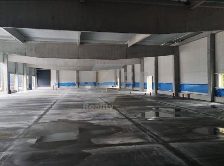 Pronájem obchodní prostor, 302 m²