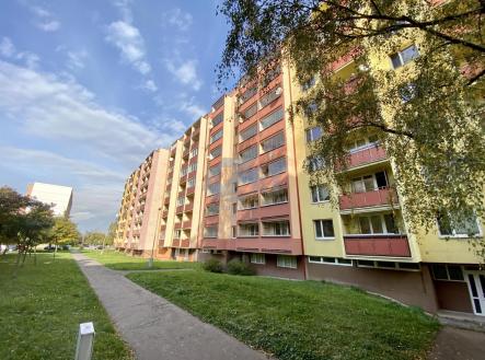 Pronájem bytu, 1+1, 39 m²