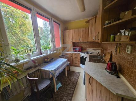 Prodej bytu, 3+1, 57 m² obrázek