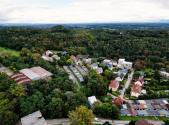 Prodej