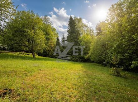 Prodej pozemku pro bydlení, 2 937 m²