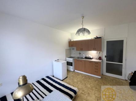 Pronájem bytu, 1+kk, 33 m²