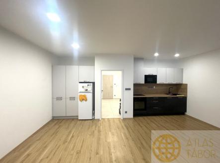 Pronájem bytu, 1+kk, 55 m²