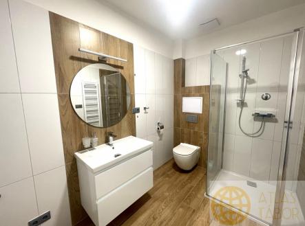 Pronájem bytu, 1+kk, 55 m²