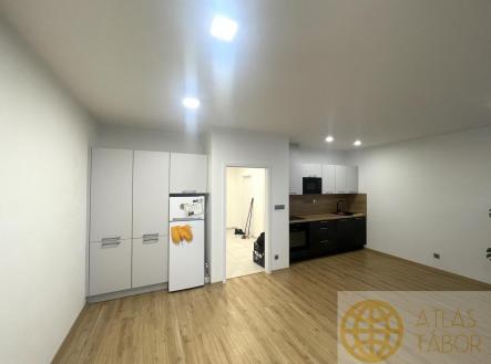 Pronájem bytu, 1+kk, 55 m²
