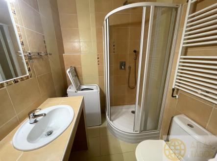 Pronájem bytu, 2+1, 48 m²