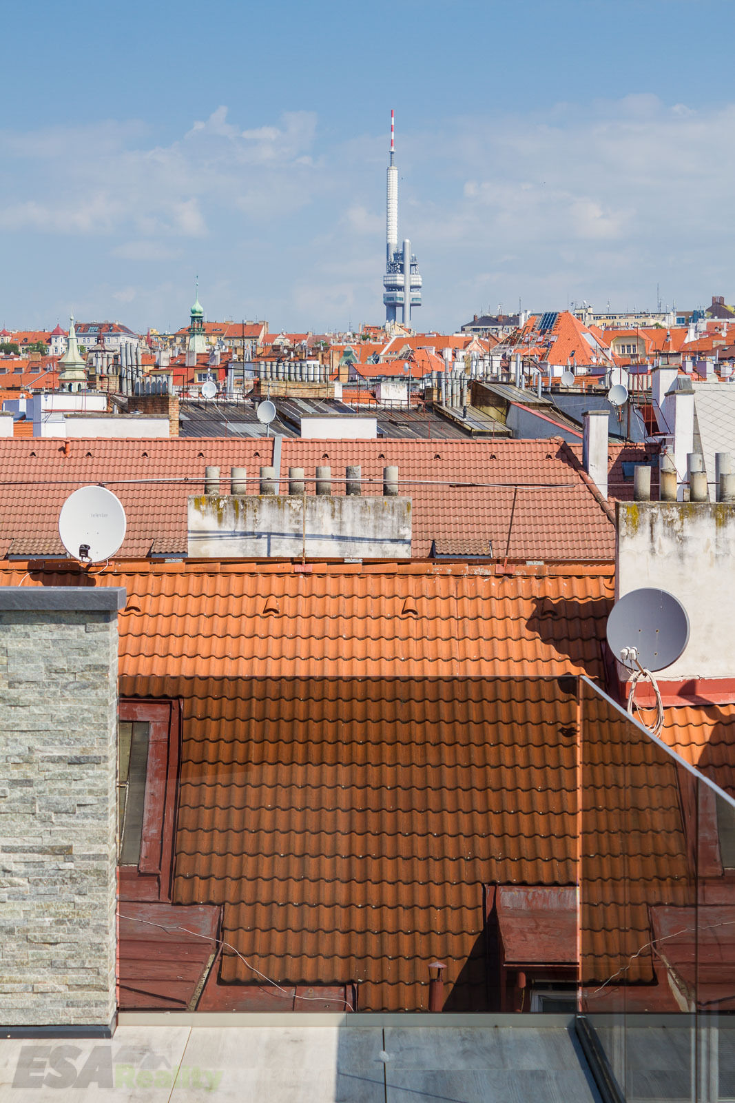 Fotku se nepodařilo načíst.