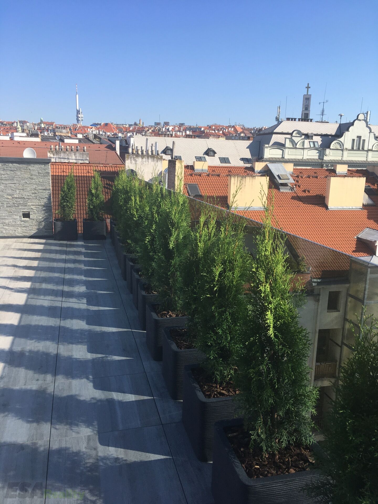 Fotku se nepodařilo načíst.