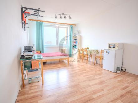 Prodej bytu, 1+kk, 31,3 m²