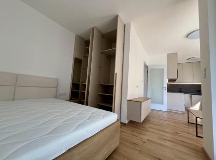 Pronájem bytu, 1+kk, 33 m²