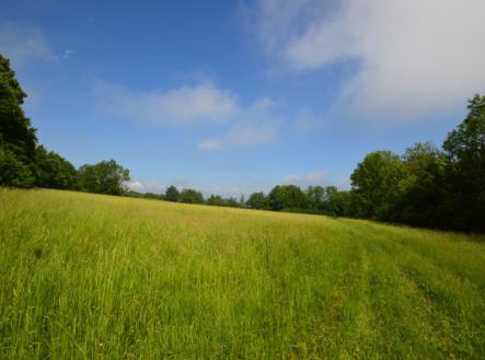 Prodej - pozemek, trvalý travní porost, 96 032 m²