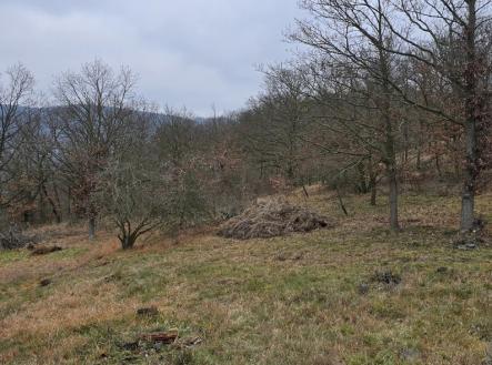 Prodej pozemku, les, 13 913 m²