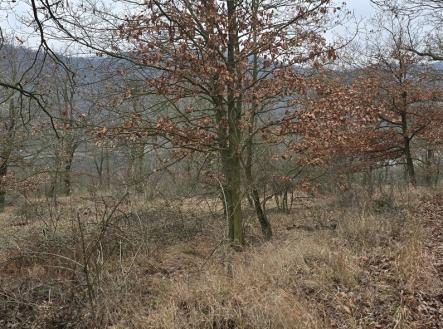 Prodej pozemku, les, 13 913 m²