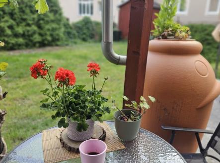 Prodej domu/vily, 400 m²