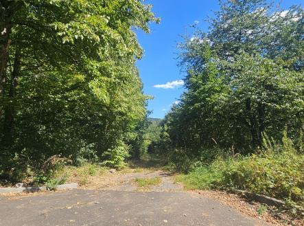 Prodej pozemku pro bydlení, 5 391 m²