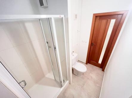 Pronájem bytu, 2+1, 50 m²