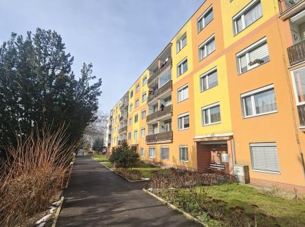 Prodej bytu, 1+kk, 29 m²