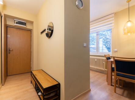 Prodej bytu, 1+kk, 29 m²