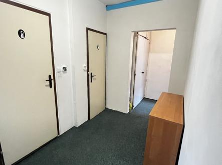 Prodej bytu, 3+1, 71 m²