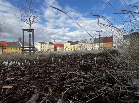 Prodej bytu, 3+1, 71 m²