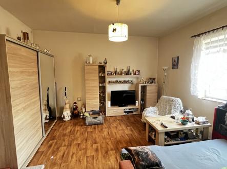 Prodej bytu, 1+1, 48 m²