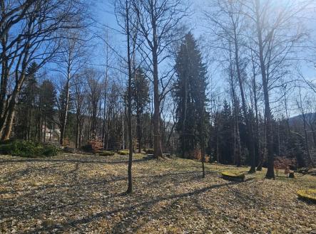 Prodej pozemku pro bydlení, 8 231 m²