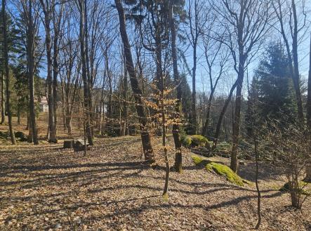 Prodej pozemku pro bydlení, 8 231 m²