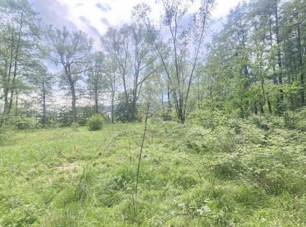 Prodej pozemku, ostatní, 9 589 m²