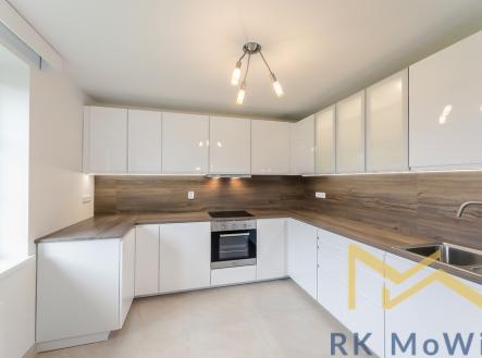 Pronájem domu/vily, 350 m²