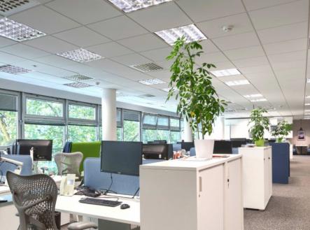 Pronájem kanceláře, 178 m²