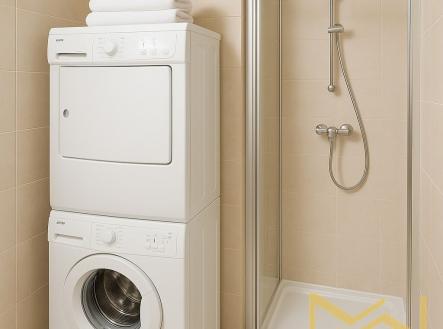 Pronájem bytu, 1+kk, 30 m²