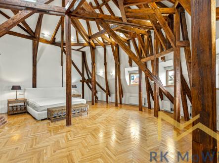 Pronájem bytu, 4+1, 305 m²