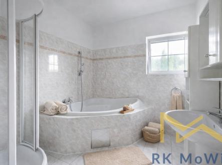 Pronájem domu/vily, 295 m²