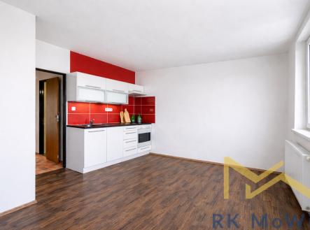 Prodej bytu, 1+1, 46 m²