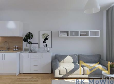 Pronájem bytu, 1+kk, 56 m²