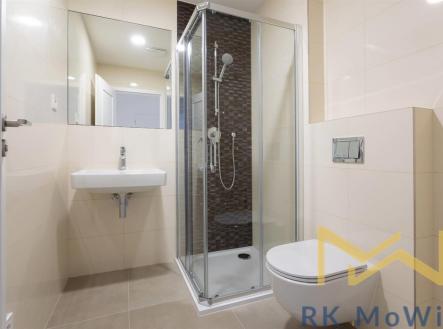 Pronájem bytu, 1+kk, 56 m²