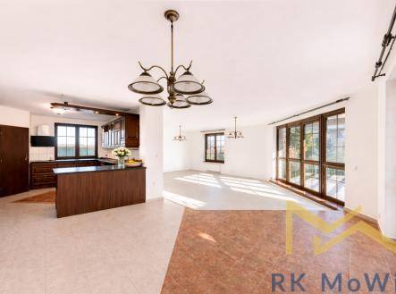 Pronájem domu/vily, 390 m²