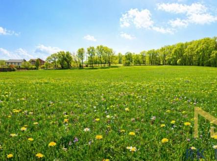 Prodej pozemku pro bydlení, 16 376 m²