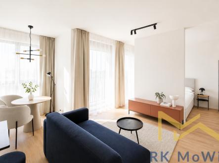 Pronájem bytu, 1+kk, 43 m²