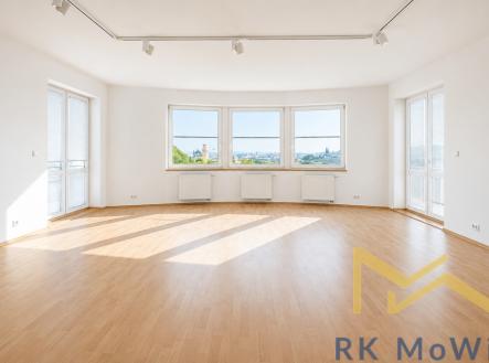 Pronájem domu/vily, 801 m²