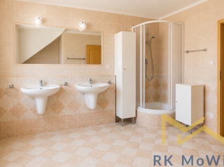Pronájem domu/vily, 300 m²