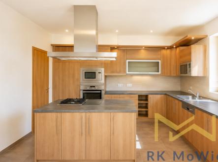 Pronájem domu/vily, 350 m²