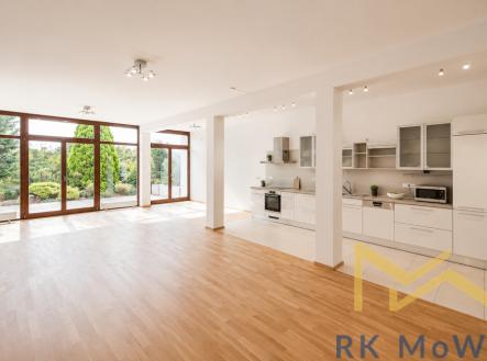 Pronájem domu/vily, 360 m²