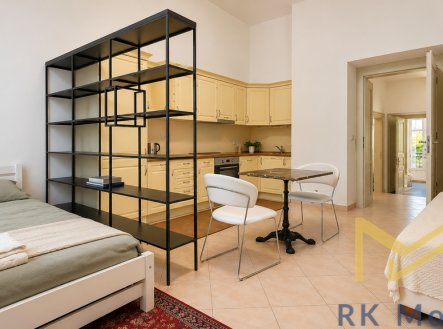 Pronájem bytu, 1+kk, 41 m²