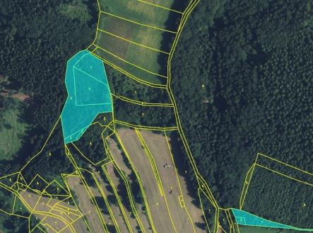 Prodej pozemku, les, 11 901 m²