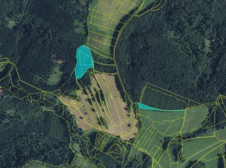 Prodej pozemku, les, 11 901 m²