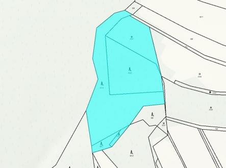 Prodej pozemku, les, 11 901 m²